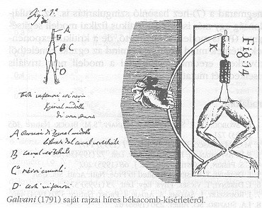 Galvani (1791) sajt rajzai hres
bkacomb-ksrletrl