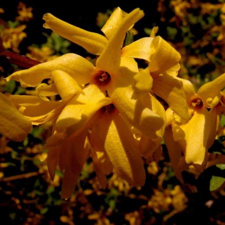 Nagyobb kép megtekintése