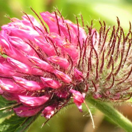 Nagyobb kép megtekintése