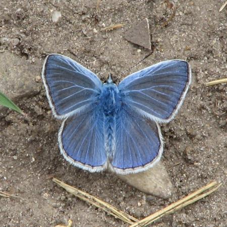 Nagyobb kép megtekintése