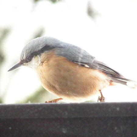 Nagyobb kép megtekintése
