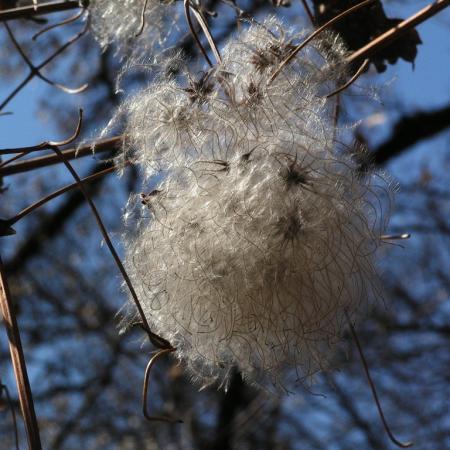 Nagyobb kép megtekintése