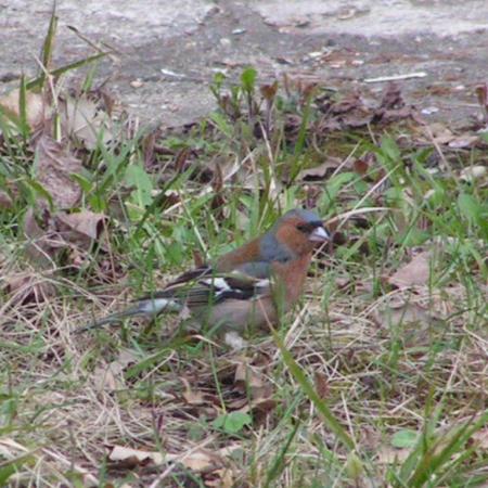 Nagyobb kép megtekintése