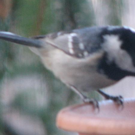 Nagyobb kép megtekintése