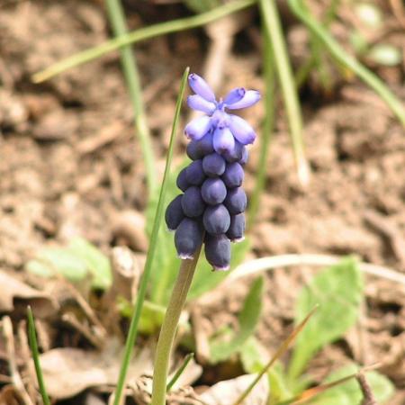 Nagyobb kép megtekintése