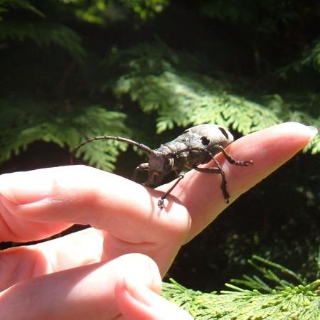 Nagyobb kép megtekintése