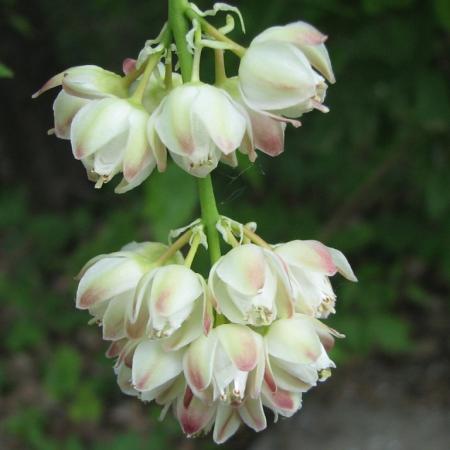 Nagyobb kép megtekintése