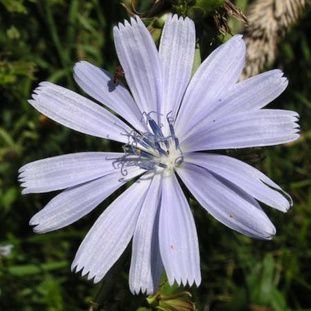 Nagyobb kép megtekintése