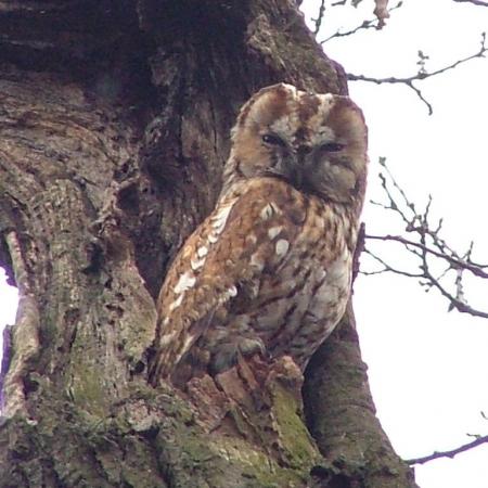 Nagyobb kép megtekintése