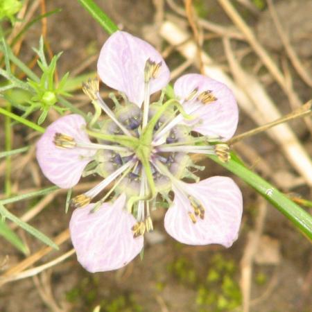 Nagyobb kép megtekintése