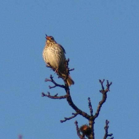 Nagyobb kép megtekintése