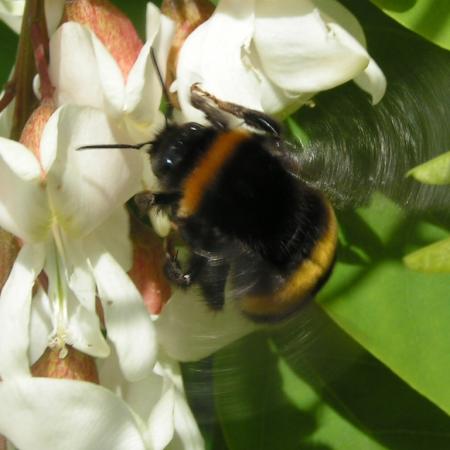 Nagyobb kép megtekintése