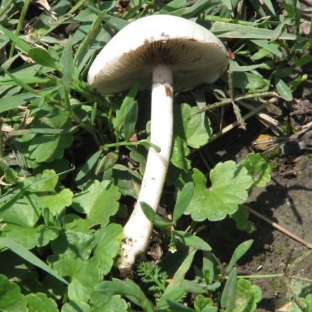 Nagyobb kép megtekintése