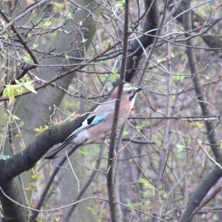 Nagyobb kép megtekintése