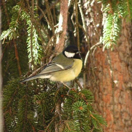 Nagyobb kép megtekintése