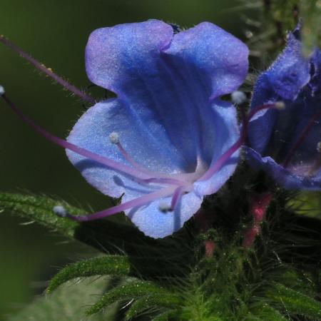 Nagyobb kép megtekintése