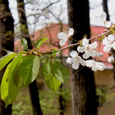 Nagyobb kép megtekintése