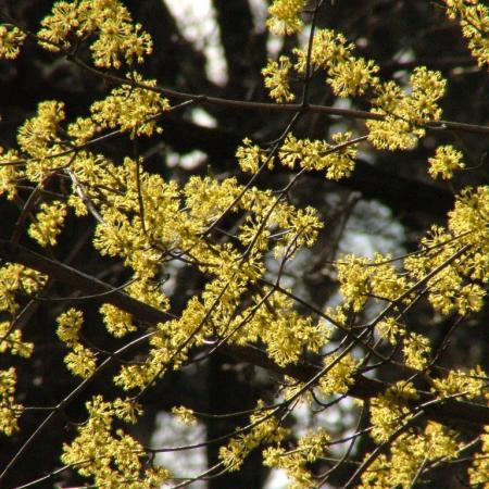 Nagyobb kép megtekintése