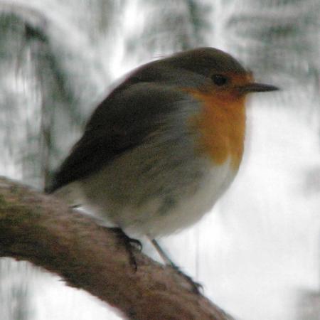 Nagyobb kép megtekintése