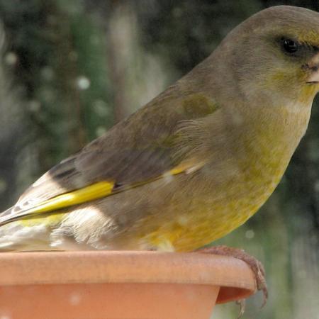 Nagyobb kép megtekintése