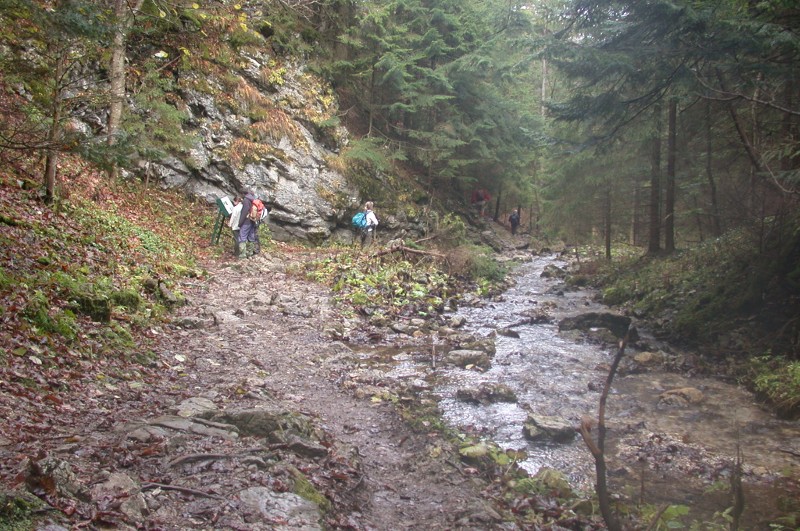 szurdokvölgyek, Rozsutec