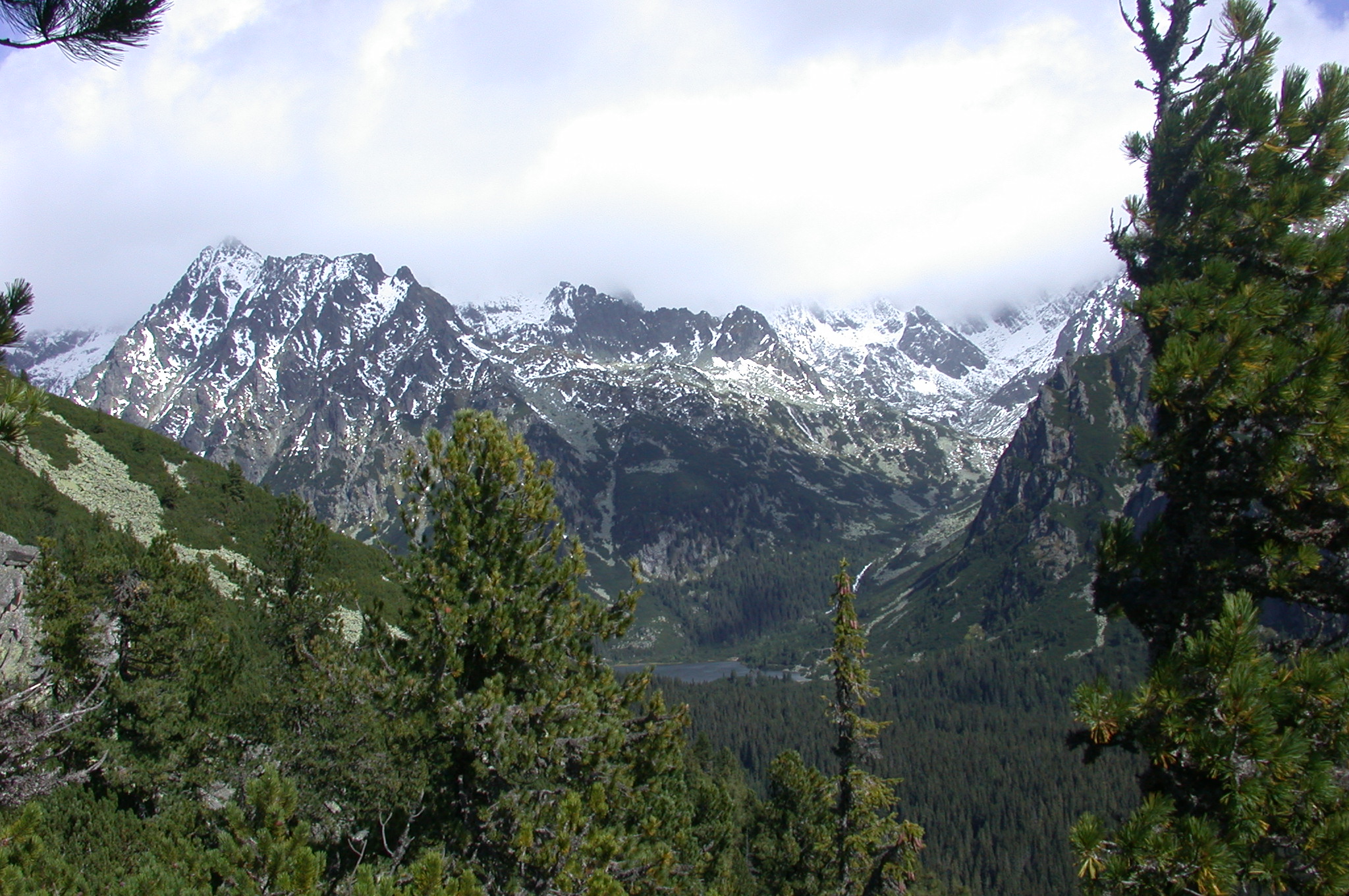 képek