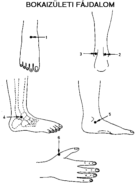 akupunktúrás pontok visszerek a lábak