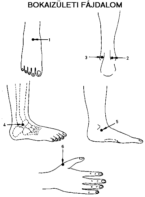 akupunktúrás pontok visszerek a lábak)