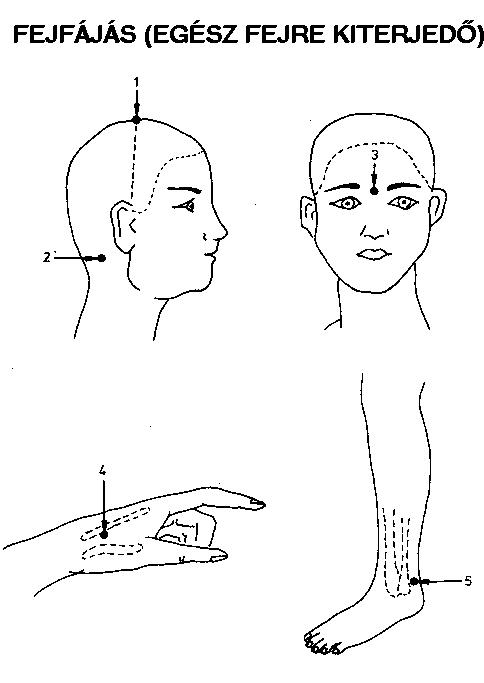 pontok az emberi testen visszerek