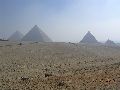 kairo_giza_309.JPG