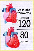 Füzetek a magas vérnyomás témakörében