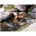 DSCN7595.html