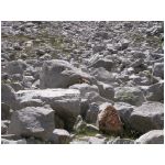 DSCN7689.html
