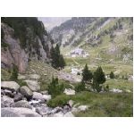 DSCN7702.html