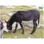 DSCN7704.html