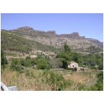 DSCN7709.html
