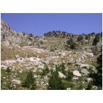 DSCN7717.html