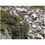 DSCN7728.html