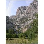 DSCN7781.html
