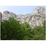 DSCN7782.html