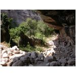 DSCN7798.html