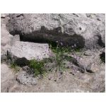 DSCN7809.html
