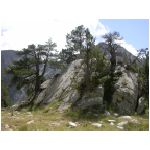 DSCN7826.html