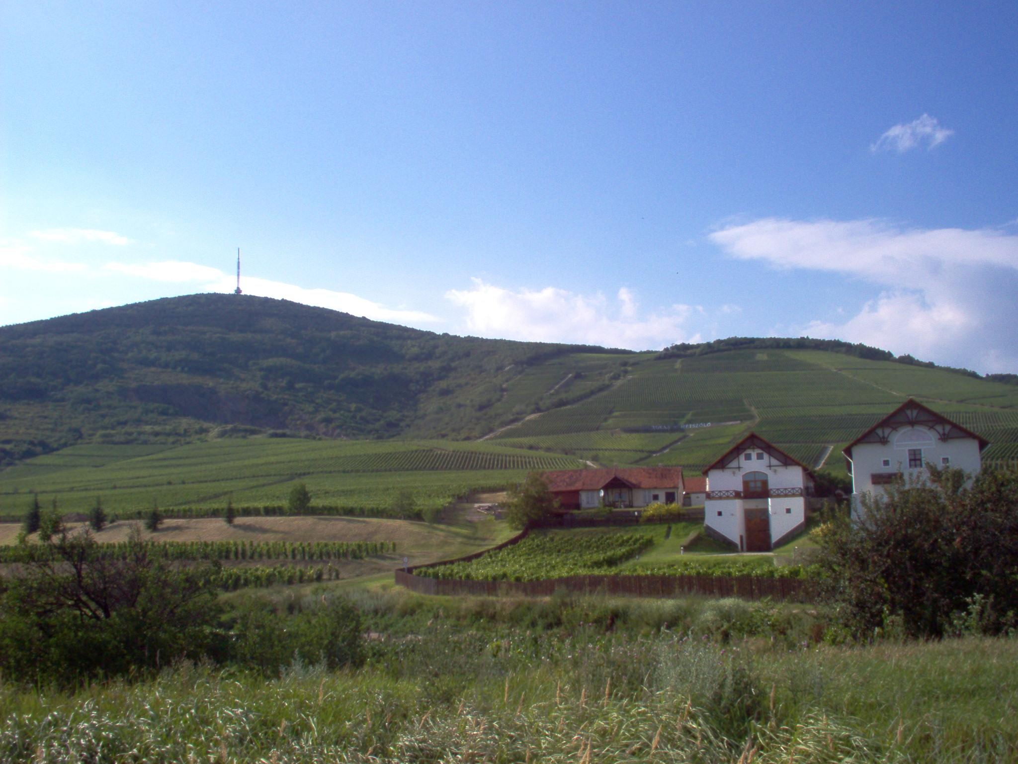 [Tokaj, Fall of 2007]