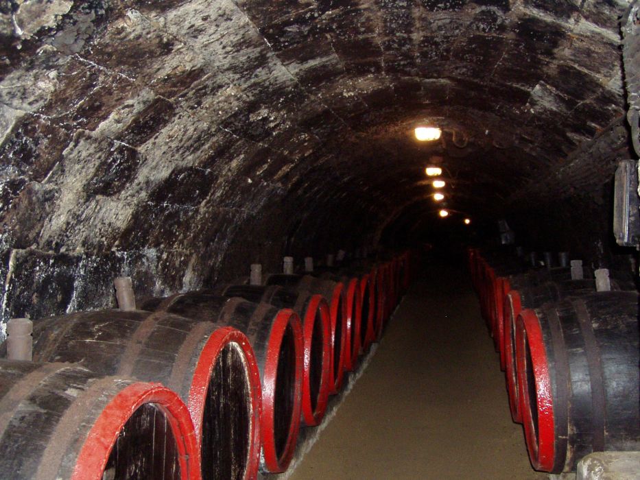 [Tokaj, Winecellar Tunnel]